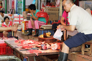 Guangzhou wet markets | Fish | Things to do in Guangzhou