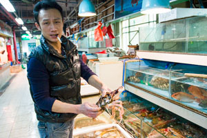 Guangzhou wet markets | Live fish | Things to do in Guangzhou