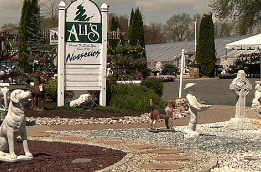 An example of good landscaping design at Ali's Nursery in Plantsville