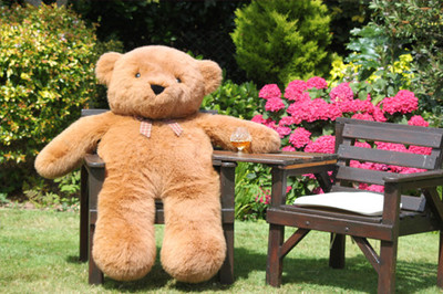 Bear in Garden