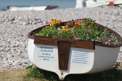 Budleigh in Bloom Floral Boat