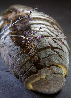 חורסאני, לחם קמוט מלא של אנומראל עוגן