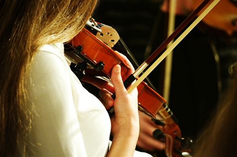 The Music Shop in Southington offers violin, viola and cello lessons