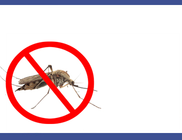 mosquito control